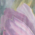 Floral Chiffon - Tulip - Violet